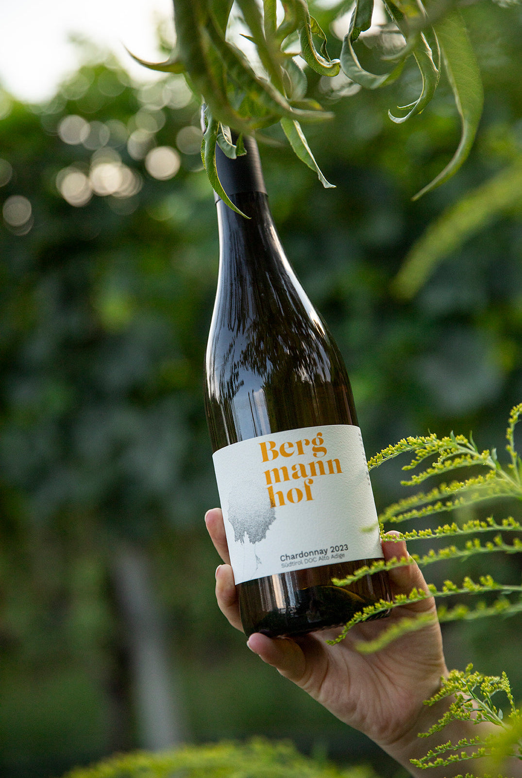 Bergmannhof vini comprare online