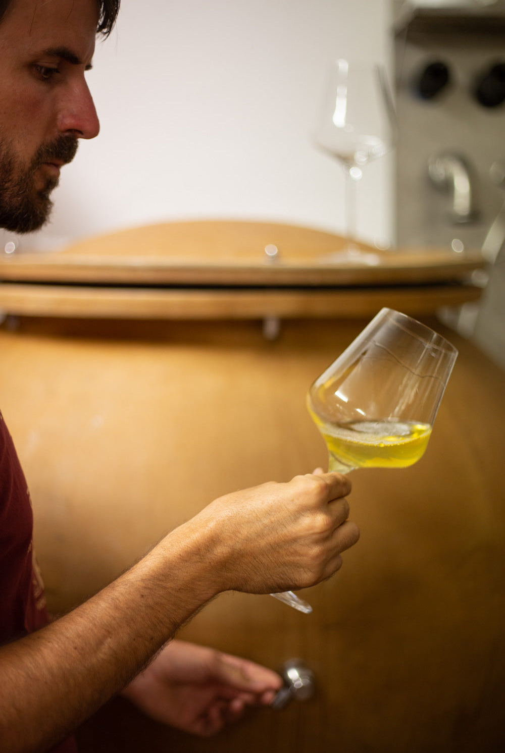 buy white wines Bergmannhof online