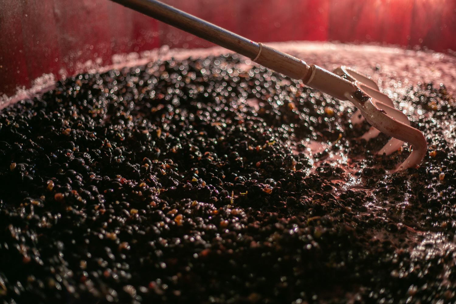 Lahn Blauburgunder Bergmannhof online kaufen