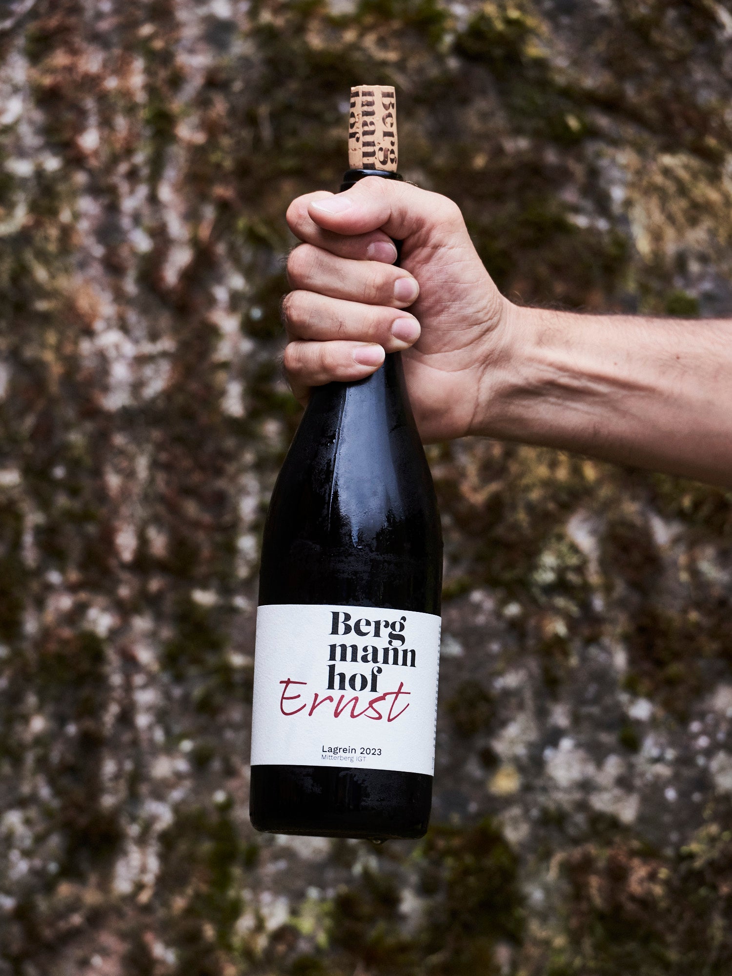 Wein Rotwein Ernst Südtirol bestellen