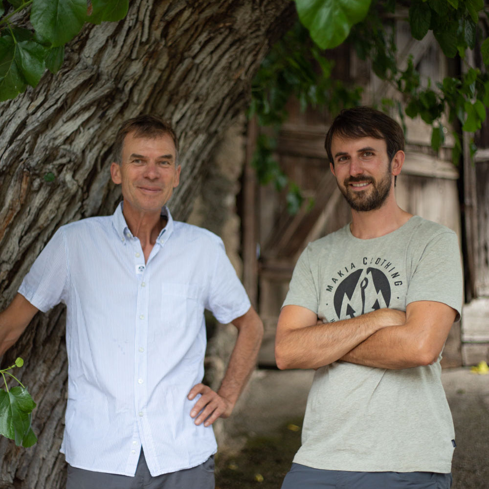 familienweingut freie weinbauern suedtirol bergmannhof