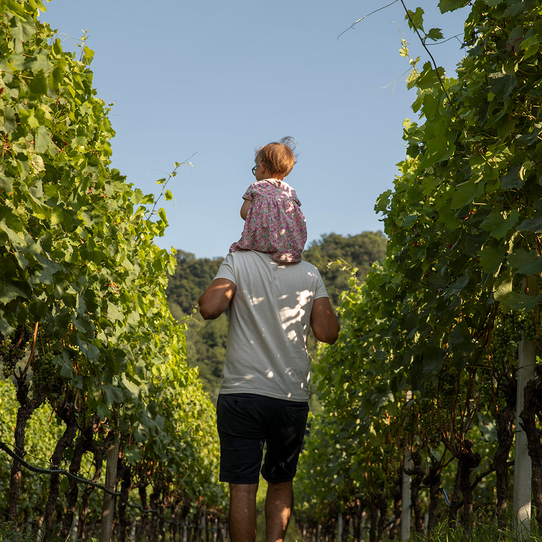 organic winery south tyrol bergmannhof