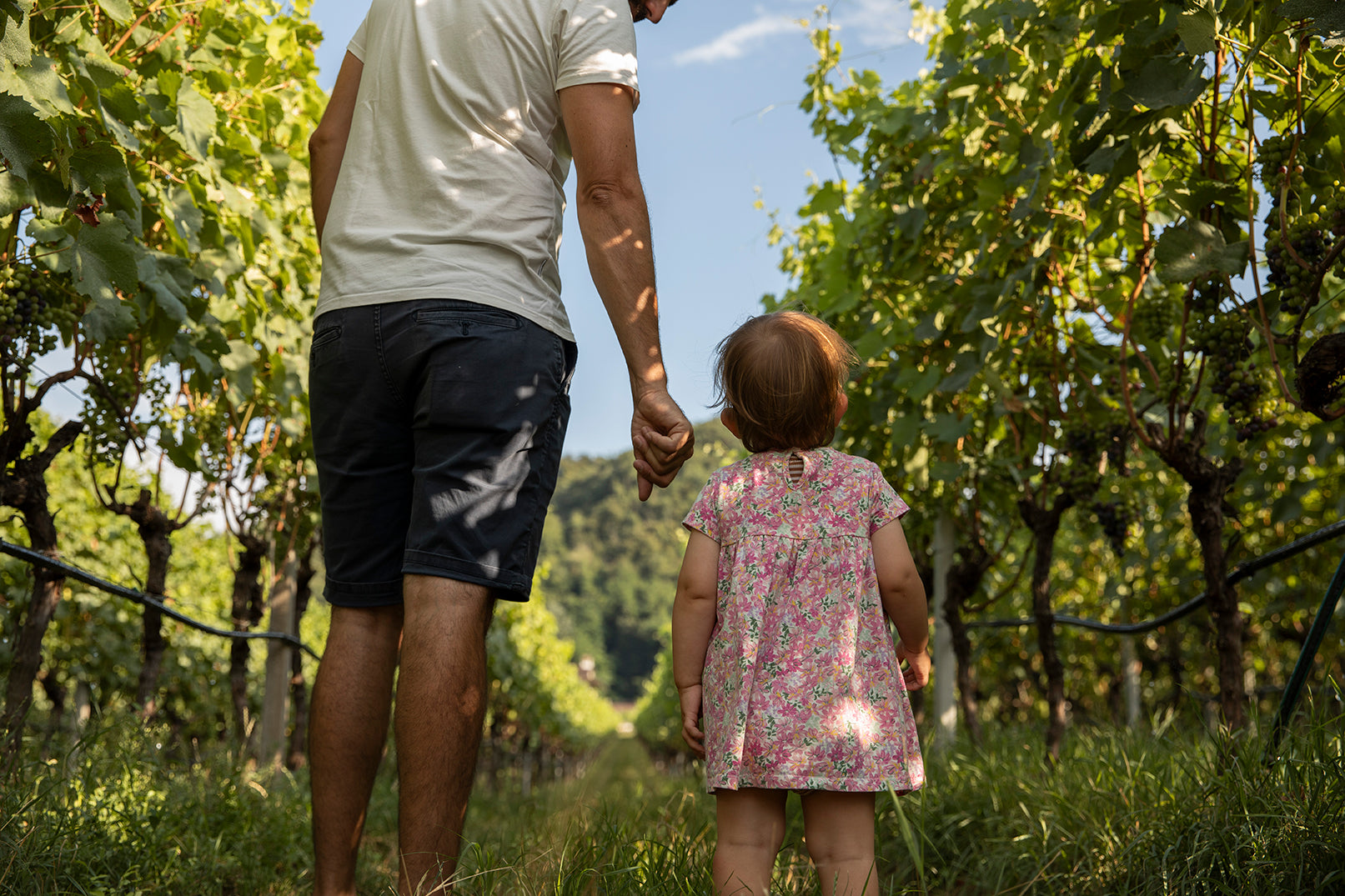 tenuta biologico famiglia alto adige