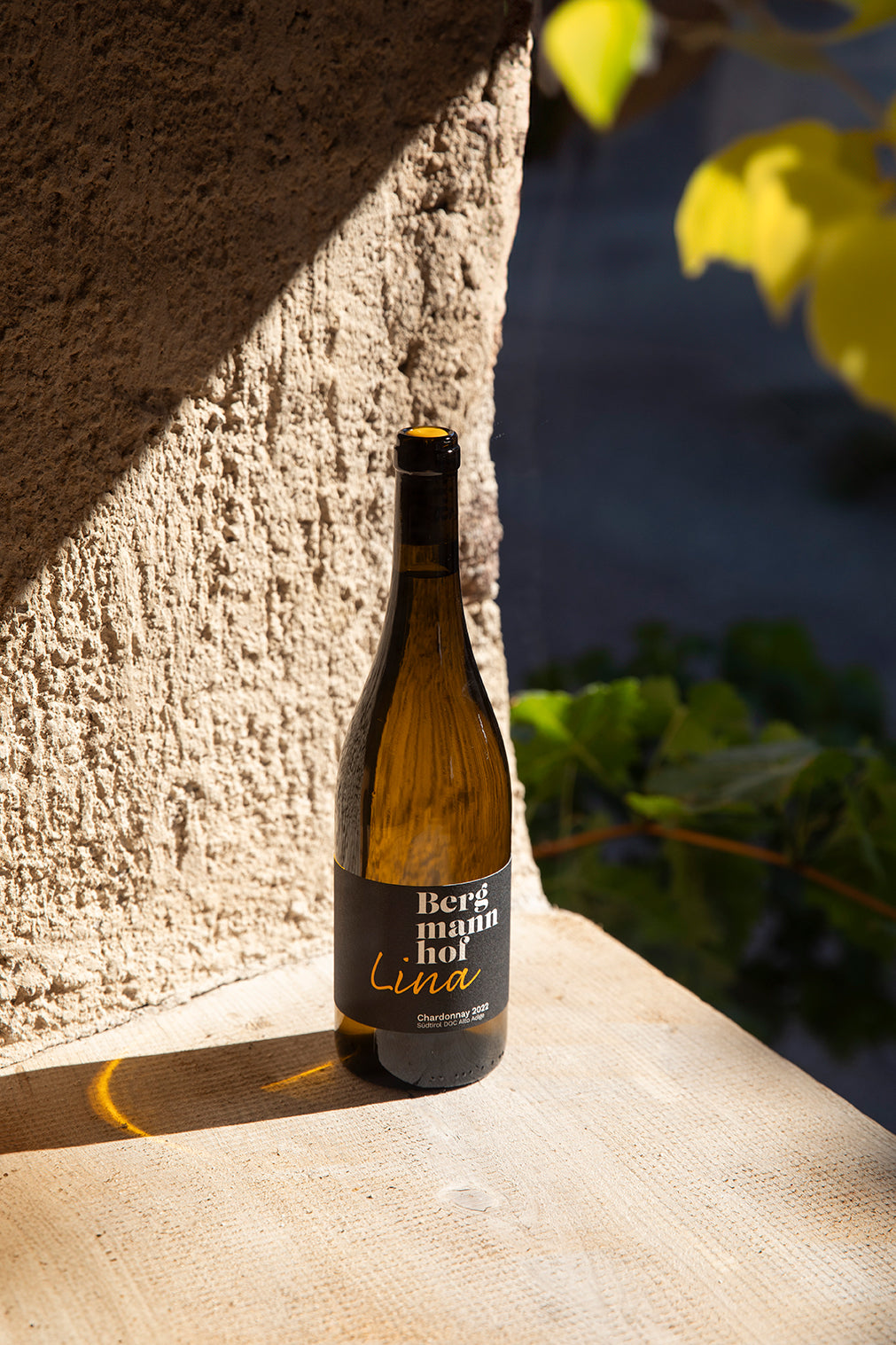 Selektionsweine Bergmannhof online kaufen