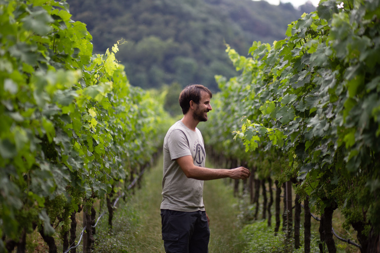 Kleines Weingut Suedtirol Italien Bio