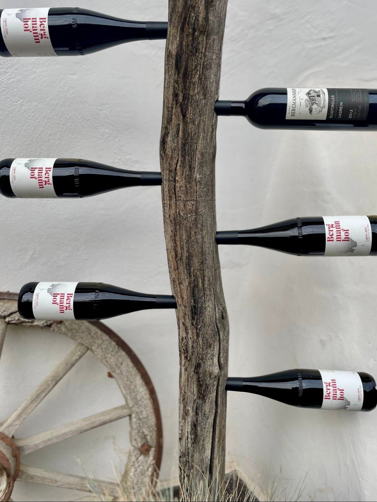 Lagrein Rotwein Paket