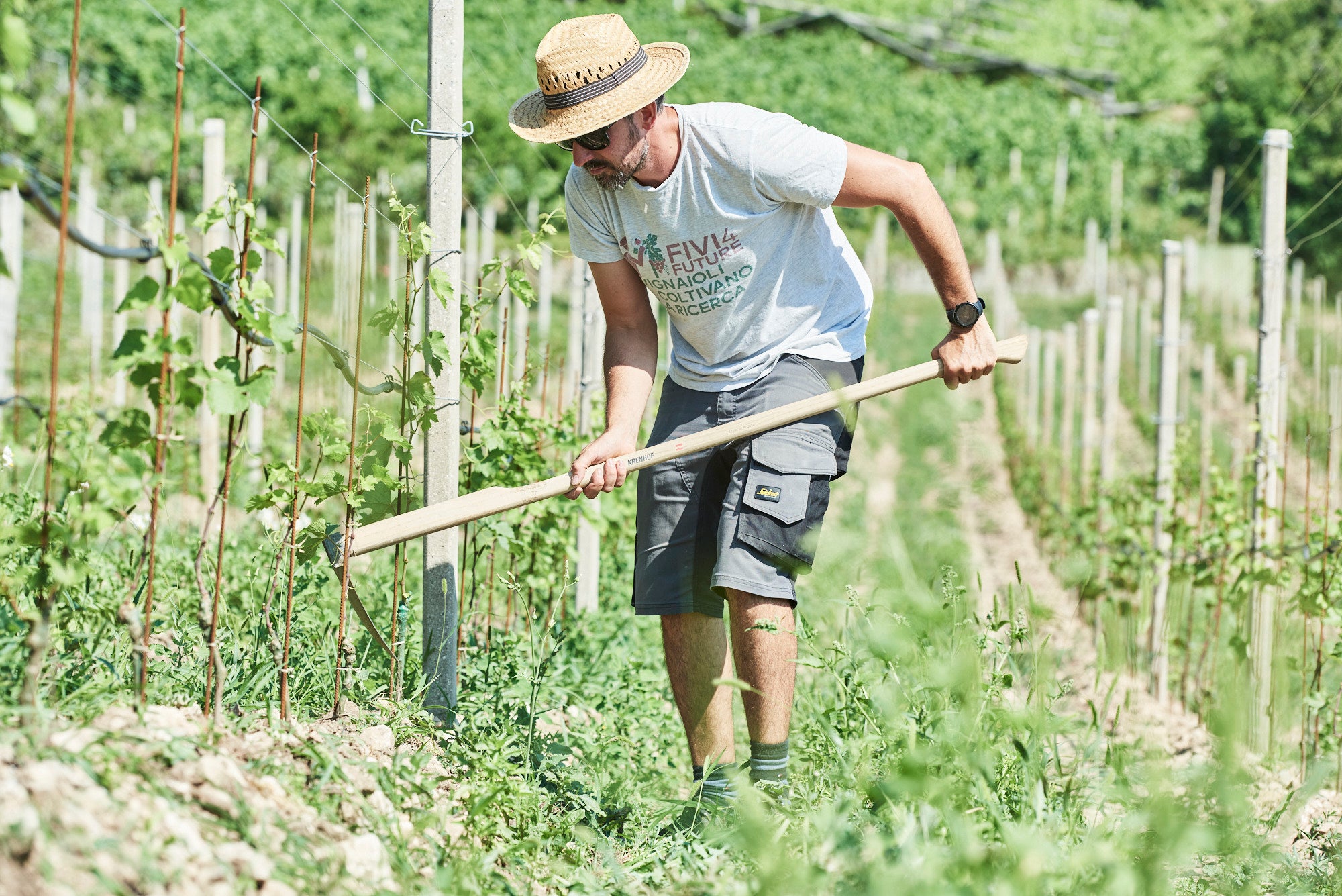 more generation winery south tyrol 