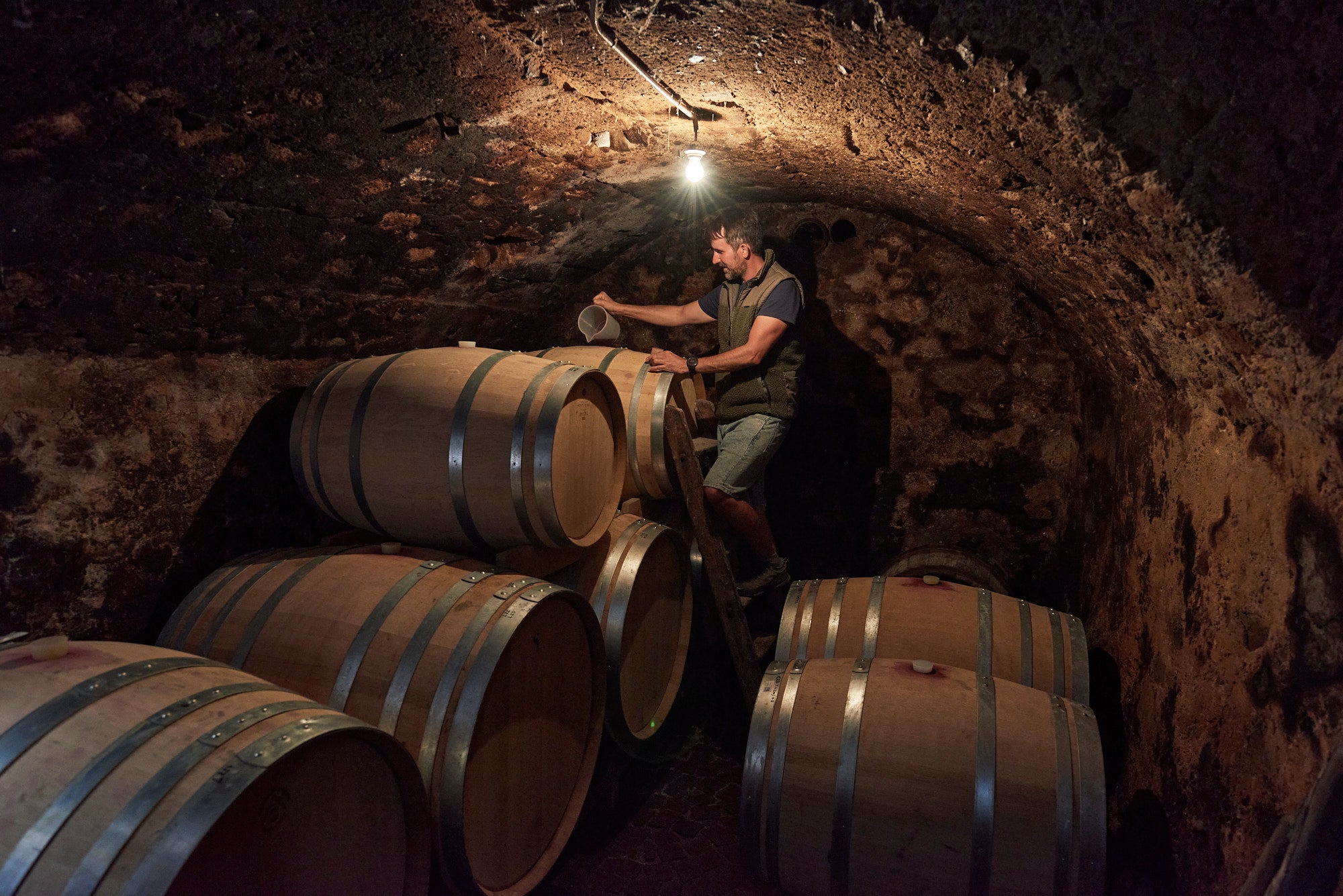 small winery south tyrol visit tour bergmannhof