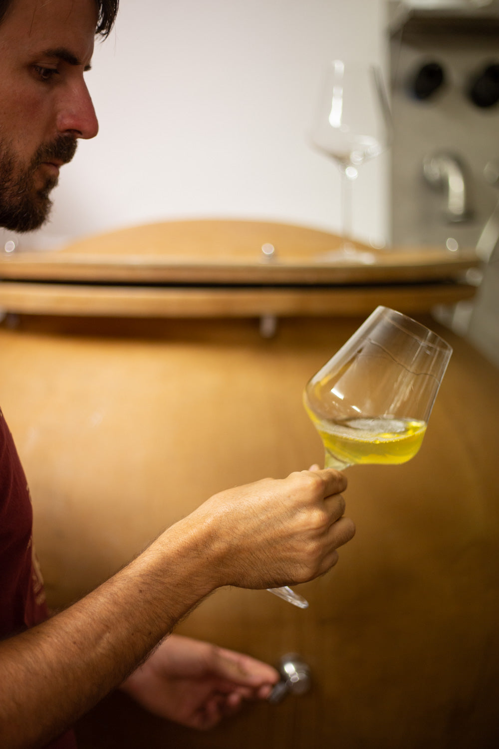 wine tasting kleines familienweingut buchen bergmannhof